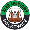 Gornik Polkowice
