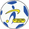 SC Golling