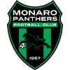 Monaro Panthers