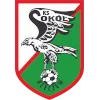Sokol Kleczew