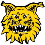 Ilves Tampere