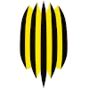 Rukh Vynnyky
