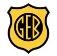 GE Bage