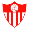 Guarany de Bage