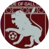 Pride of Gall Hill FC