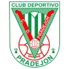 CD Pradejon (W)