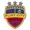 Flint City AFC (W)