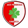 ACS Progresul Fundulea
