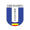 CS Tricolorul Breaza