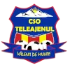 CSO Teleajenul Valeni de Munte