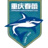 Chongqing Chunlei