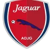 Jaguar PE U20