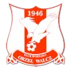 Orzel Walcz