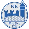 NK Brezice U19