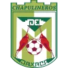 Chapulineros de Oaxaca II
