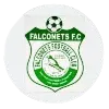 Falconets FC (W)
